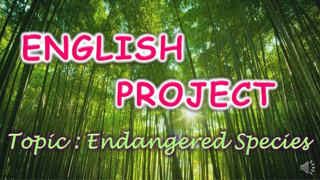 endangered species powerpoint presentation